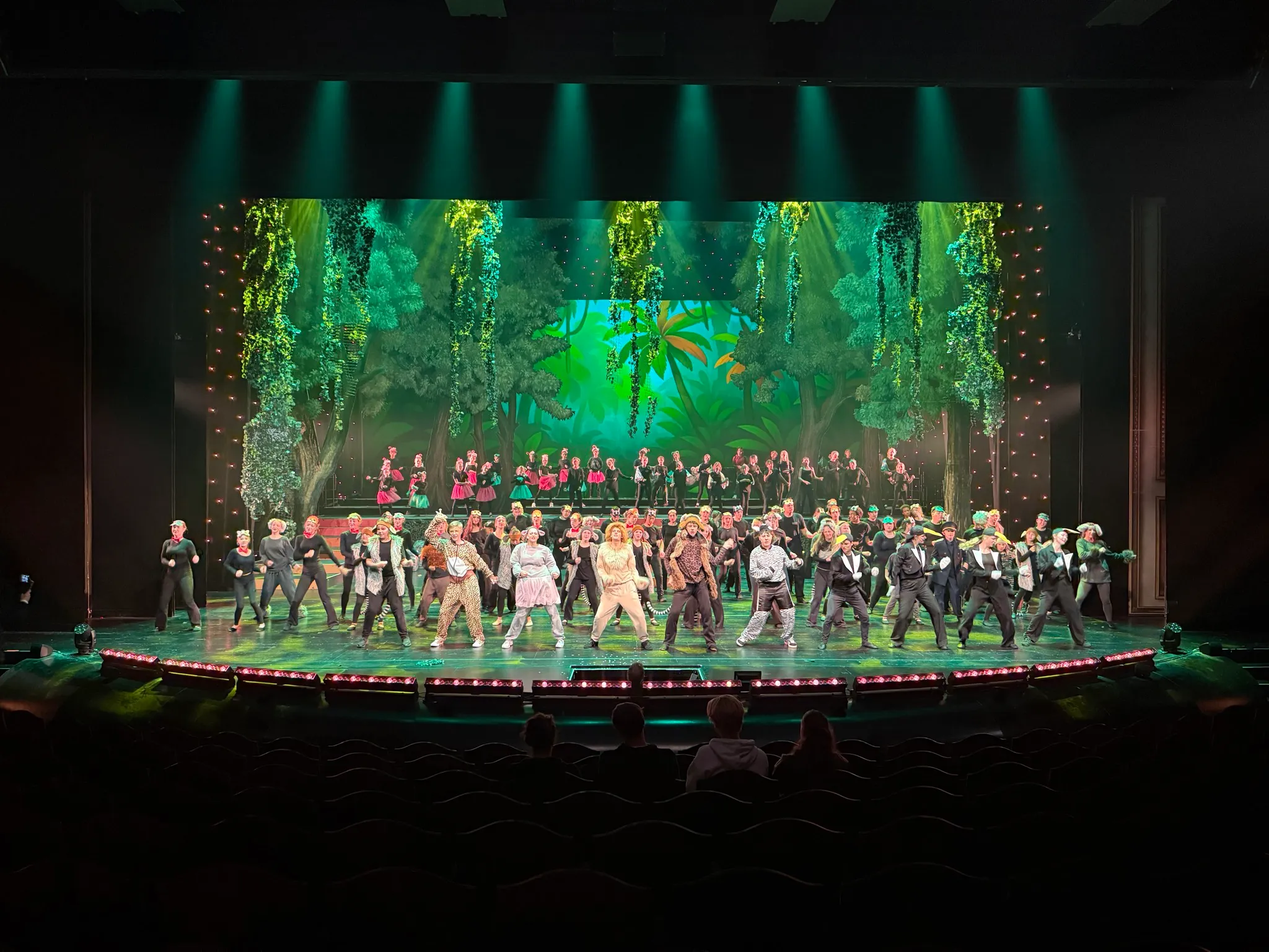 Madagascar Kids Musical